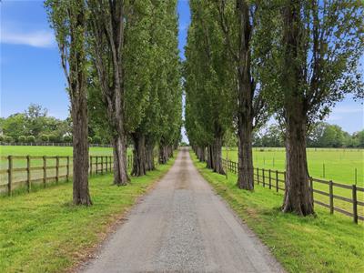 Picture 24